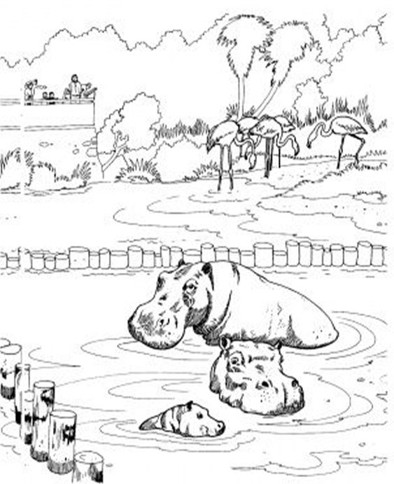 Free easy to print zoo coloring pages