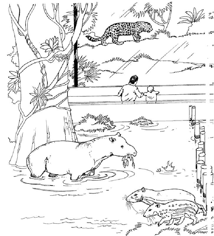 Free printable zoo coloring pages for kids zoo coloring pages owl coloring pages animal coloring pages