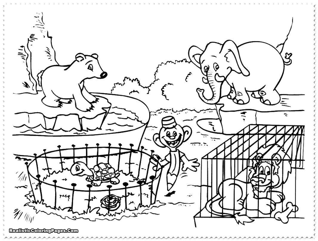 Online coloring pages small coloring page zoo with small animals zoo
