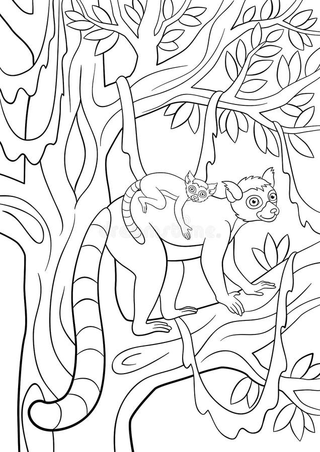 Coloring pages mother lemur with her little cute baby stock vector