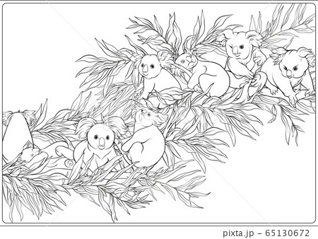 Koala and eucalyptus coloring page for the