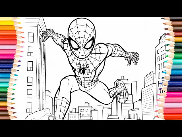 Spider