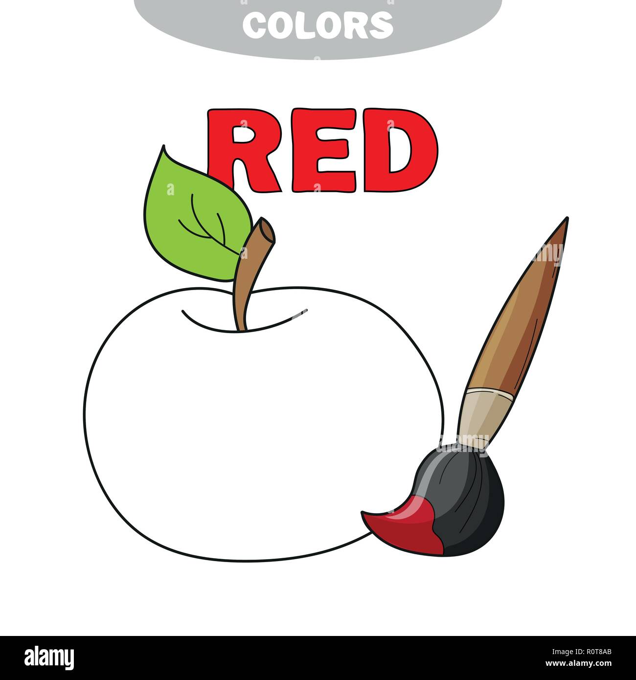 Vector apple fruit on white background learn the red color