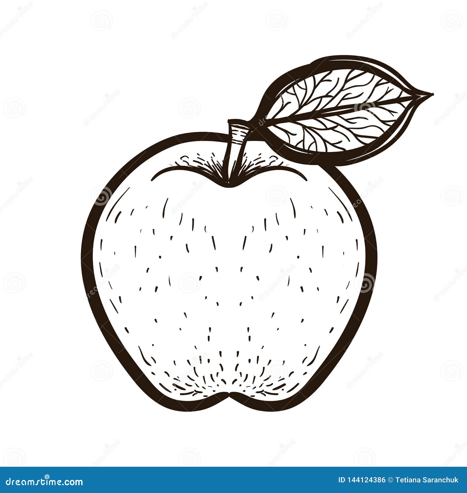 Sketch red apple with leaf coloring book stock vector