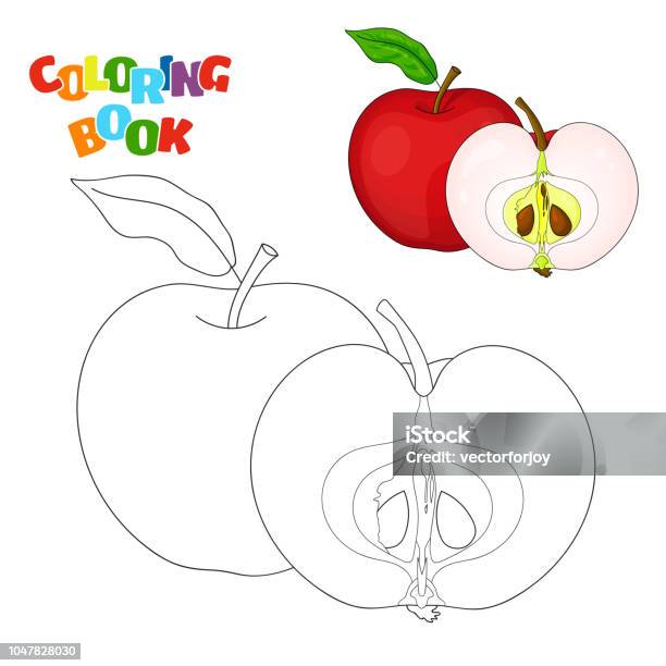 Coloring book page for preschool children with outlines of red apple and a colorful copy of it vector illustration of apple for kids education stock illustration