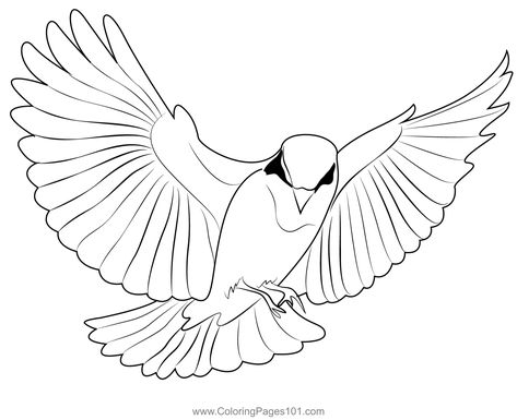 Red bird flying coloring page birds flying red birds coloring pages