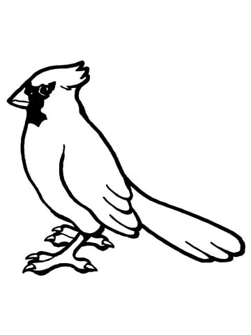 Nothern cardinal bird coloring page free printable coloring pages