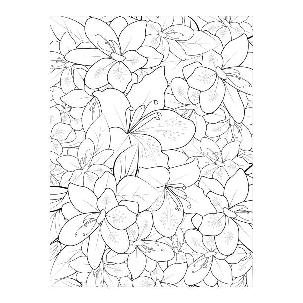 Azalea bush drawing stock illustrations royalty