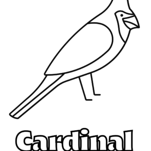 Cardinal coloring pages printable for free download