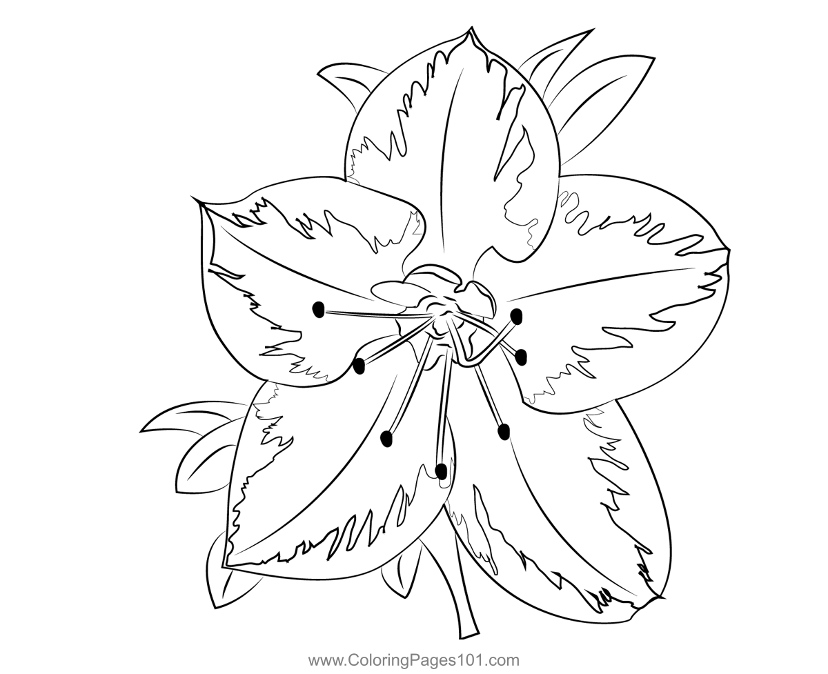 Azalea coloring page for kids