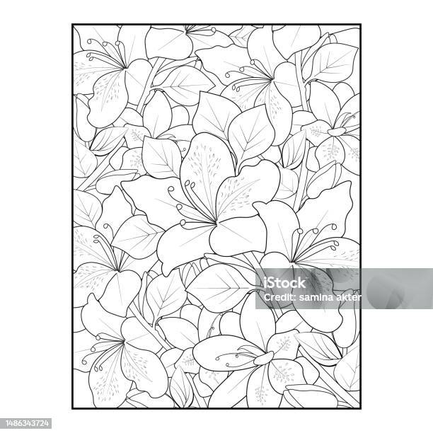 Azalea flower tattoo azalea line drawing azalea flower azalea flower tattoo black and white azalea flower tattoo design azalea flower drawing azalea flower drawing azalea bush drawing azalea flower outline realistic azalea