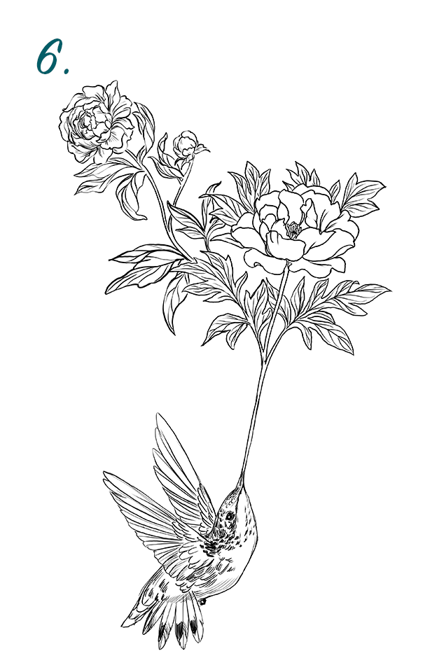 Coloring pages flora fauna mixed pack â alia bird