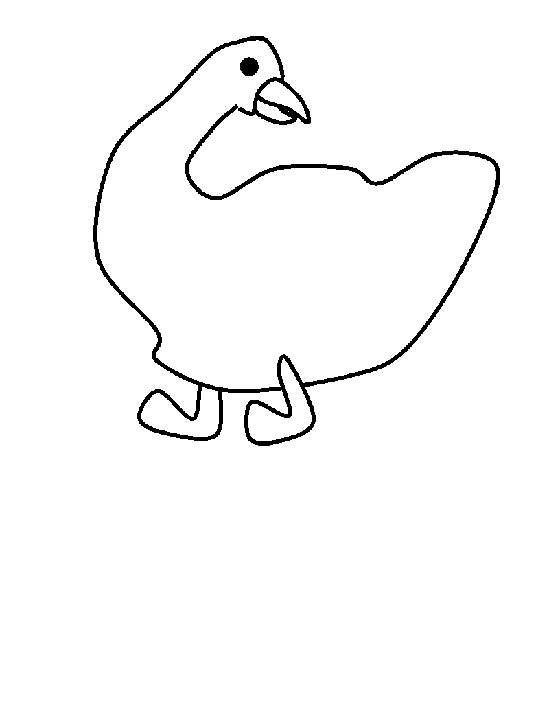 Duck