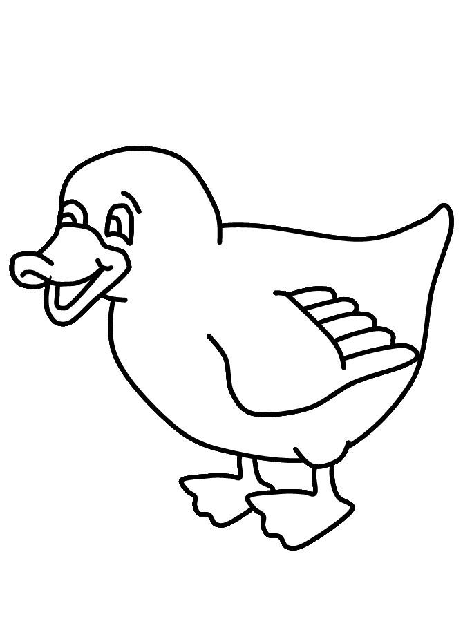Free brown bear brown bear what do you see coloring pages download free brown bear brown bear what do you see coloring pages png images free cliparts on clipart library