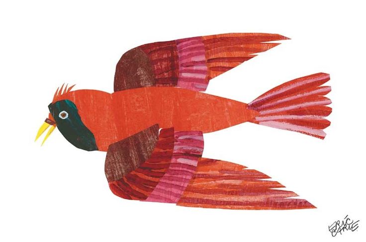 Resultado de imagen de red bird brown bear red birds eric carle eric carle art