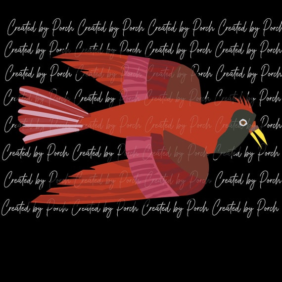 Red bird from eric carles brown brown bear what do you see svgpng