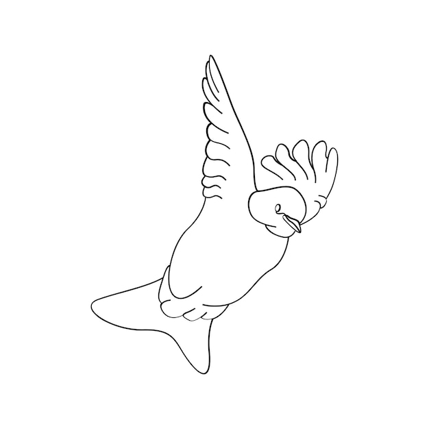 Premium vector bird outline vector for coloring book and tattoo design bird line art bird vector illustration