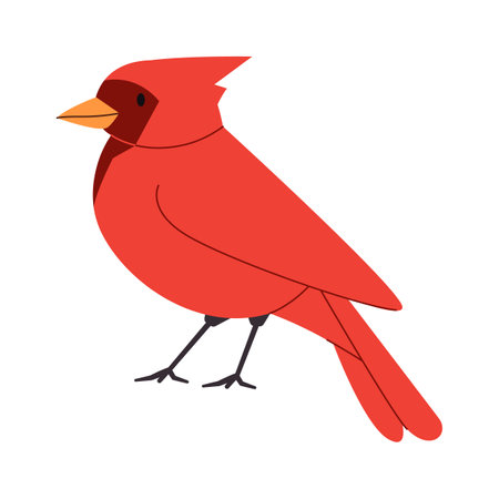 Cardinal bird cliparts stock vector and royalty free cardinal bird illustrations