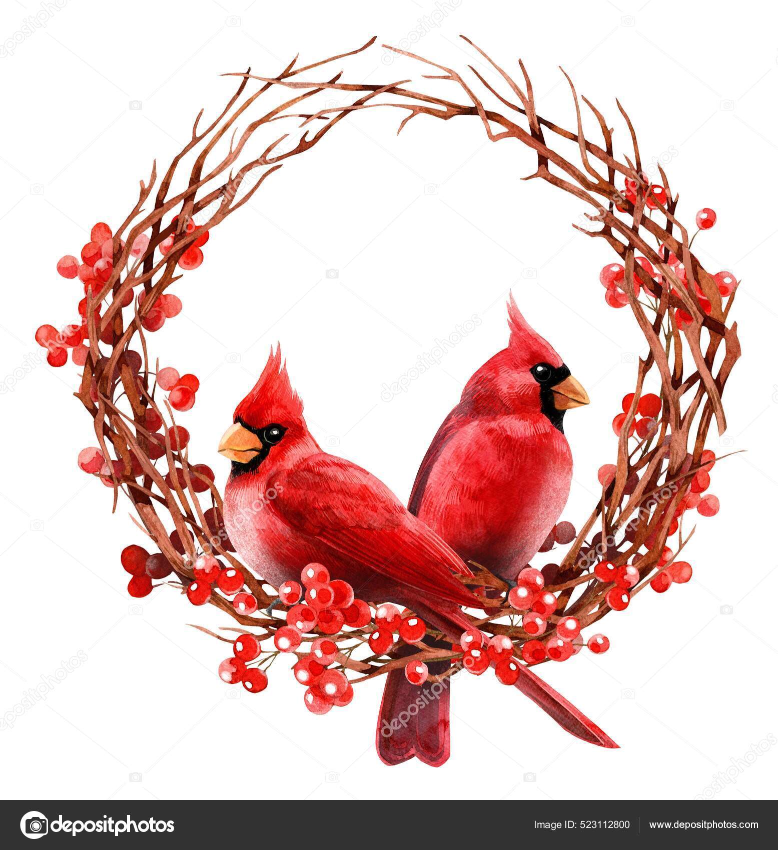 Watercolor cliparts christmas and winter red bird cardinals stock illustration by ivakhnovatatiyanagmail