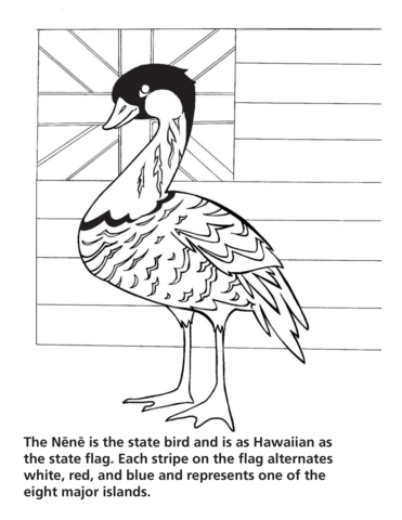 The nen