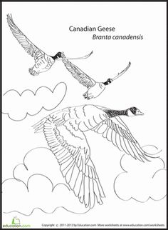 Kindergarten literature unit ideas goose kindergarten literature literature unit goose craft