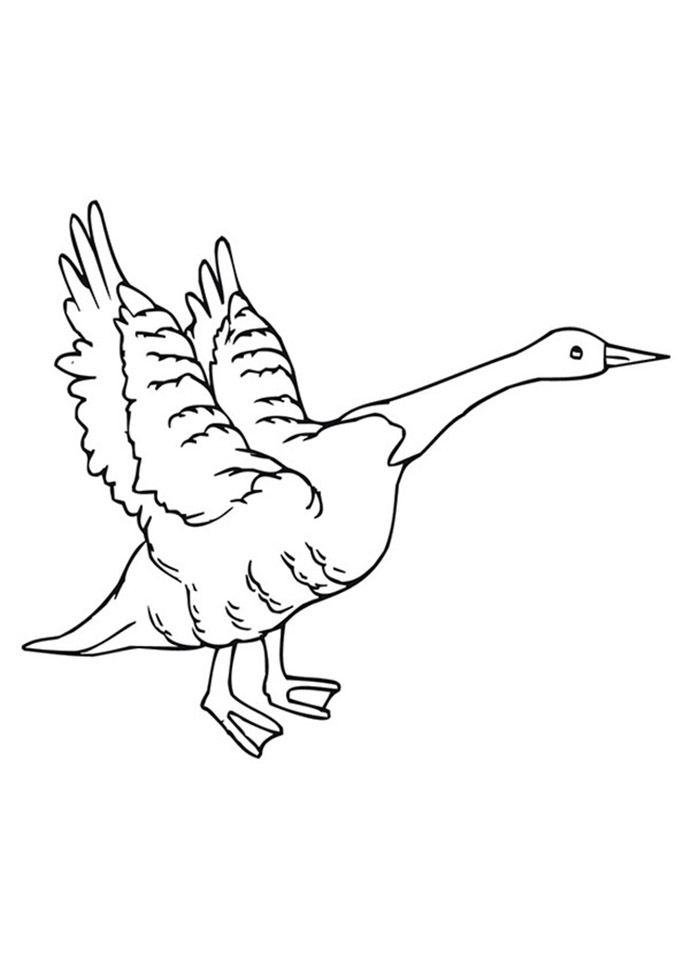 Geese coloring pages