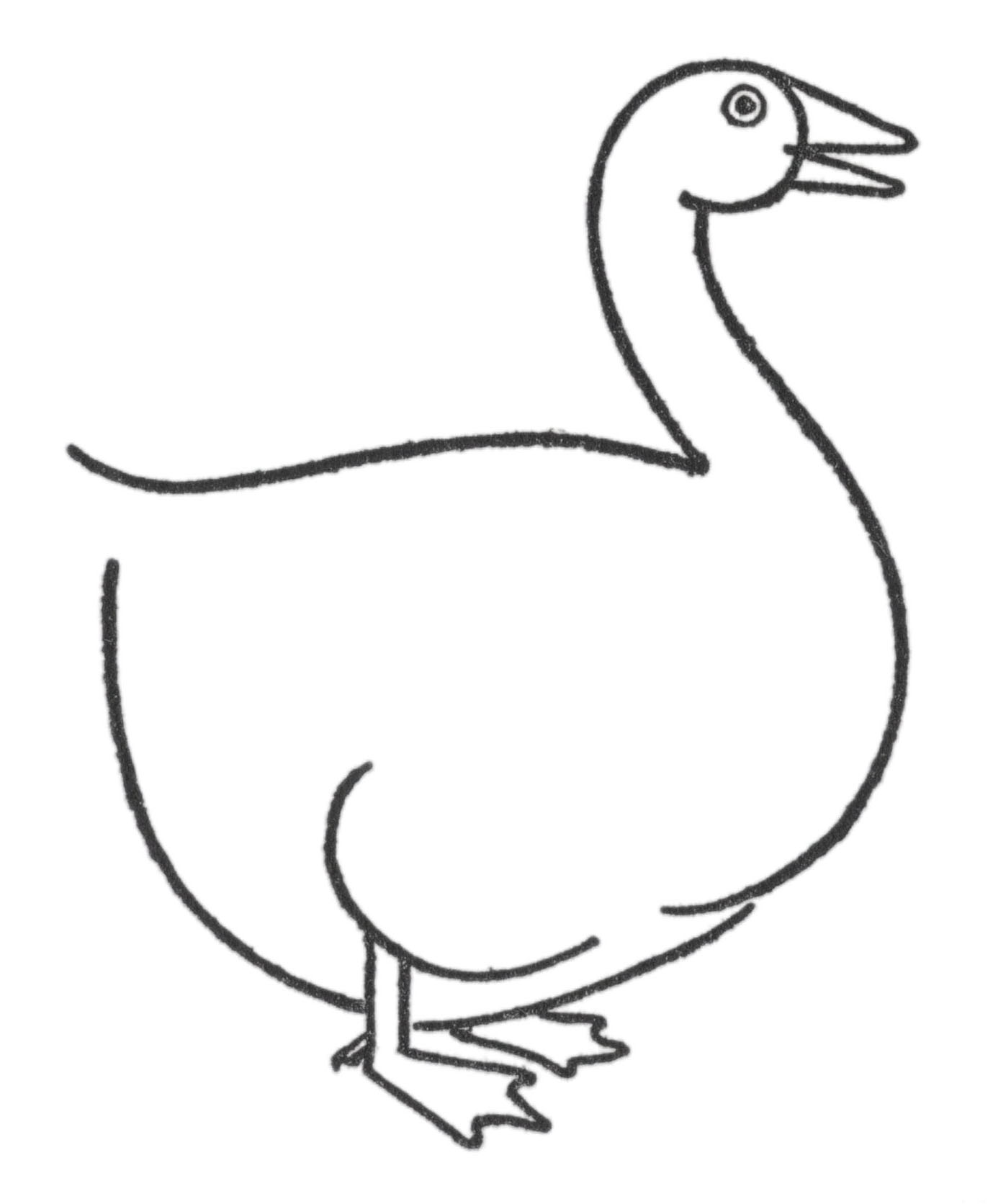 Drawing of a goose step by step