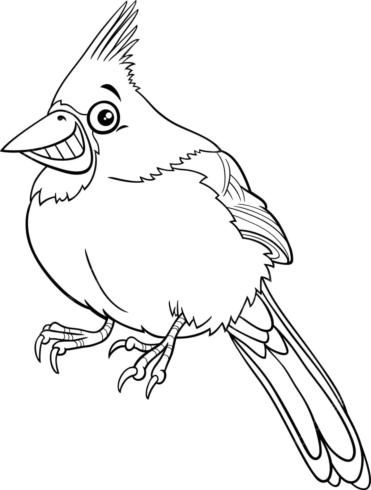 Coloring book page featuring a cartoon character of a northern red cardinal bird vector character species redbird png and vector with transparent background for free download