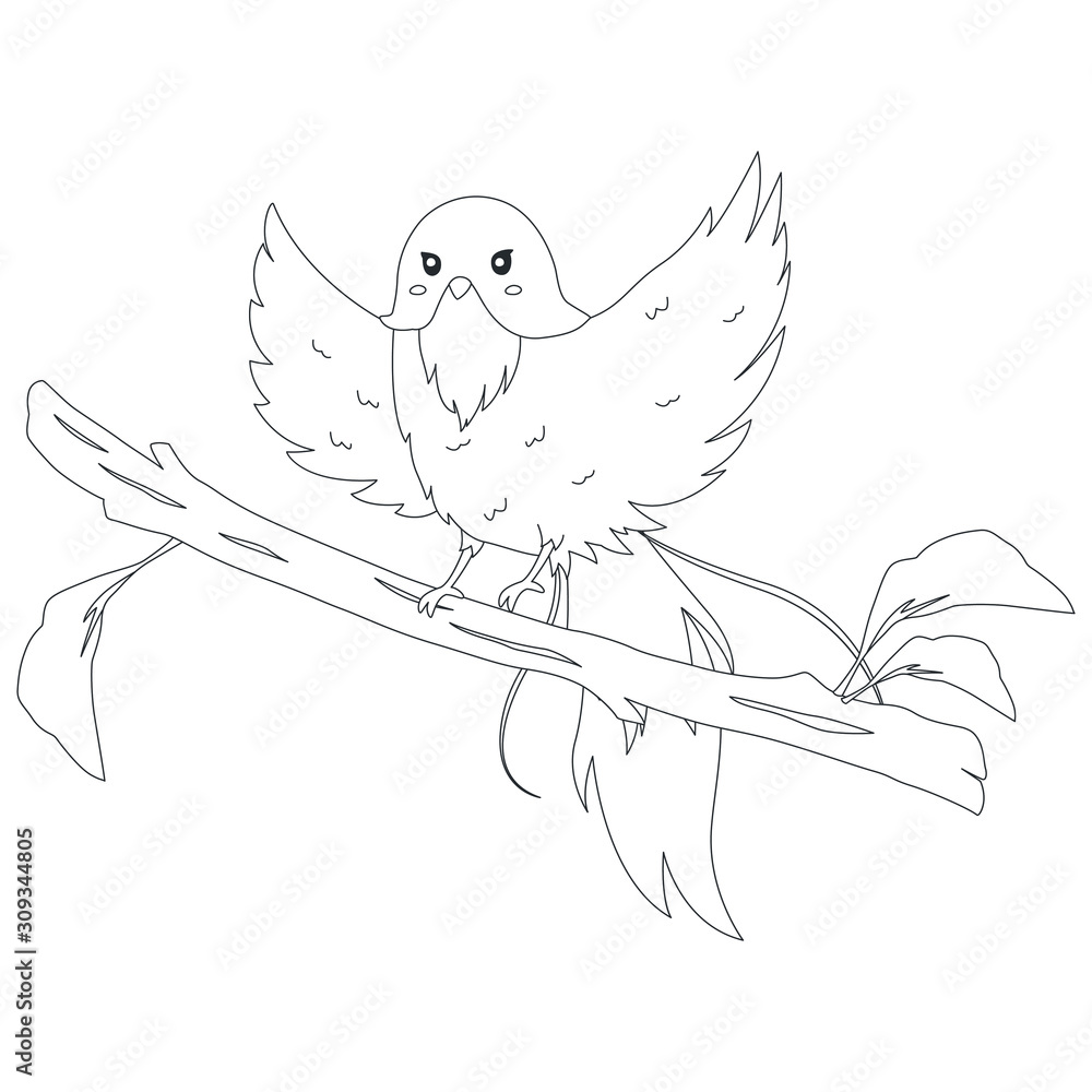 Bird of indonesia coloring page cendrawasih merah bird red bird of paradise perching on a tree branch with its wings spreading exotic indonesian bird cartoon vector coloring page for kids vector