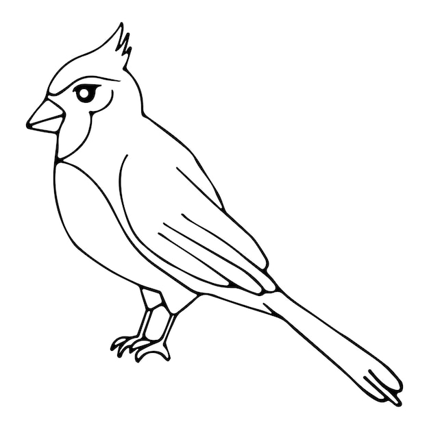Premium vector vector kids coloring pages cute bird character vector illustration eps and image