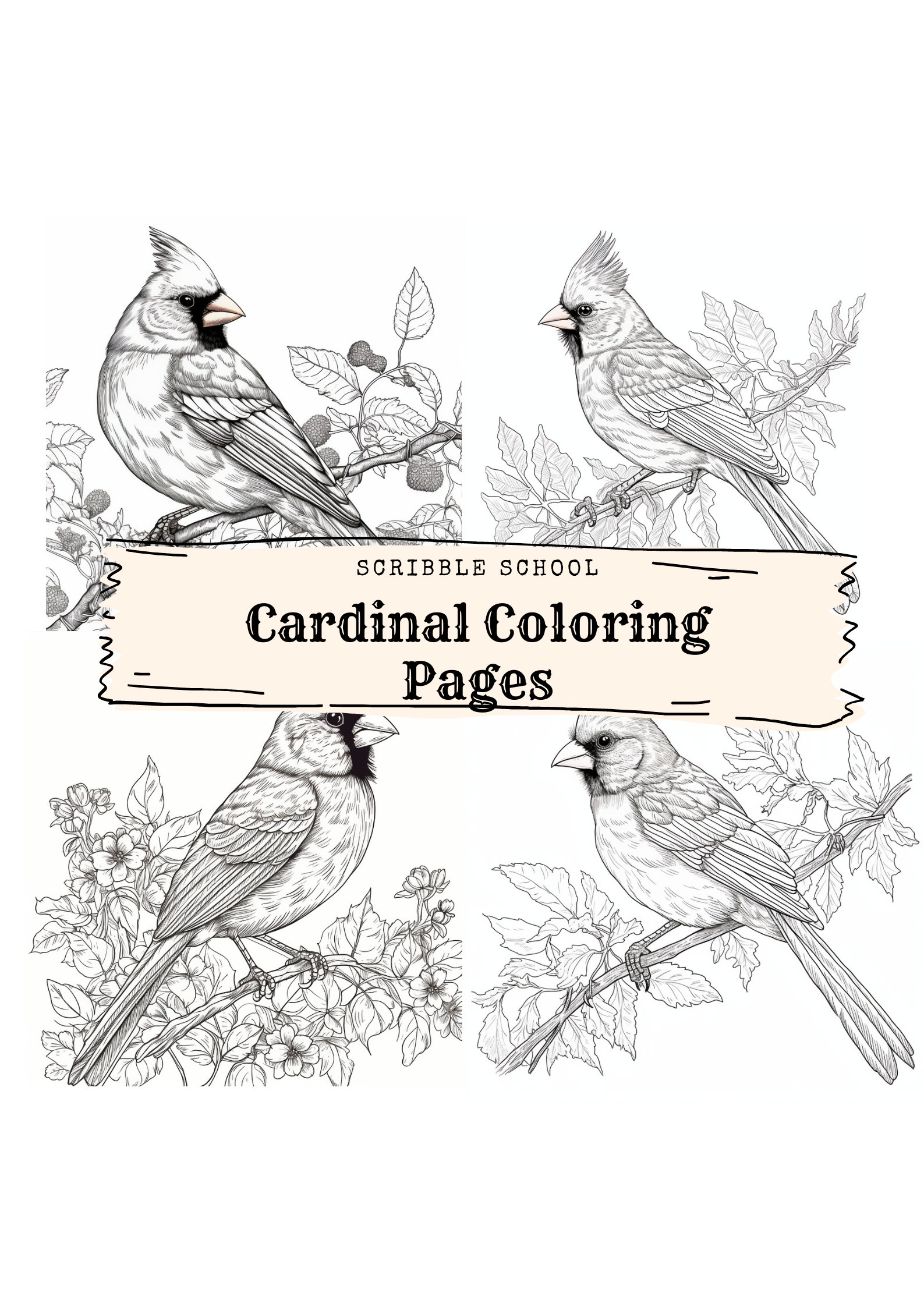 Cardinal coloring