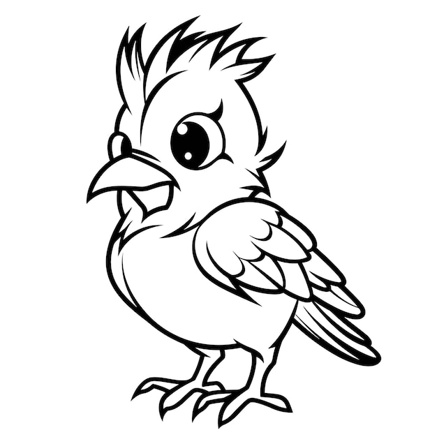 Premium vector cardinal coloring pages vector animals