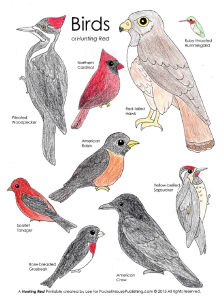 Free bird printable set of hunting red pocket mouse publishing