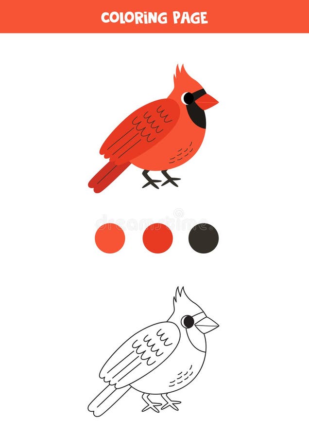 Cardinal coloring page stock illustrations â cardinal coloring page stock illustrations vectors clipart