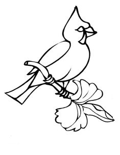 Cardinal bird coloring pages eas bird coloring pages coloring pages cardinal birds