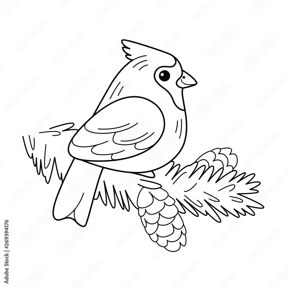 Red cardinal sat on branch