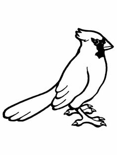 Cardinal bird coloring pages eas bird coloring pages coloring pages cardinal birds