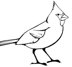 Cardinal bird coloring pages eas bird coloring pages coloring pages cardinal birds