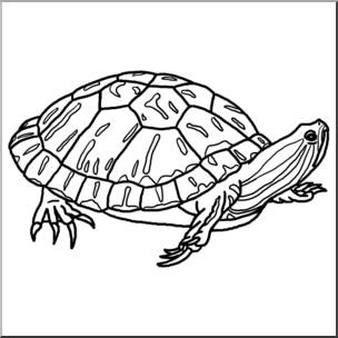Clip art red eared slider turtle bw i