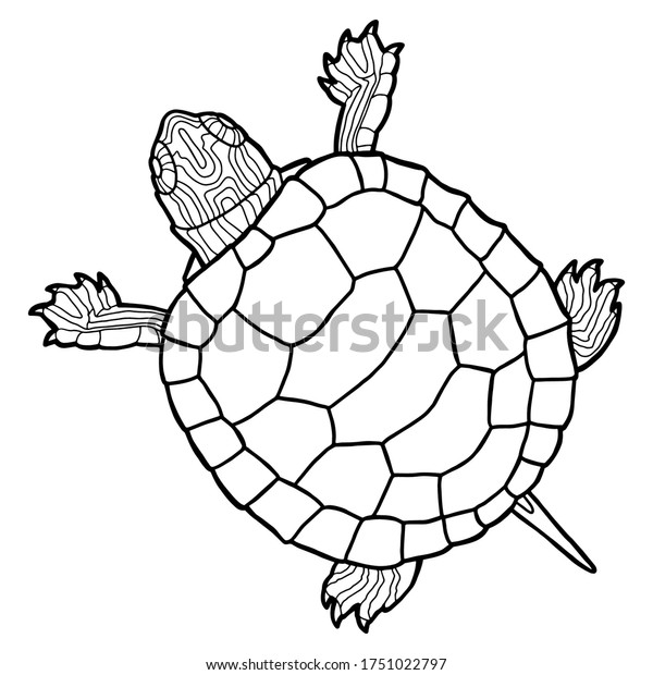 Vector illustration coloring book realistic design stock vector royalty free