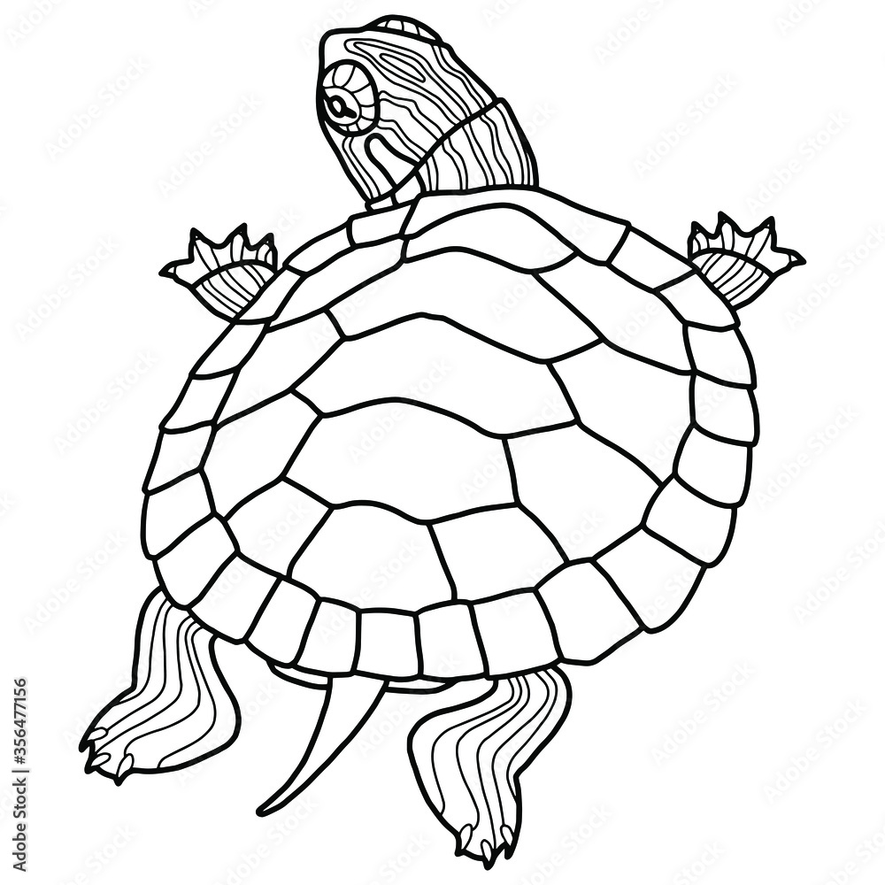 Vector illustration for coloring book realistic design pond slider or turtle marine inhabitants childrens illustration pet turtle red