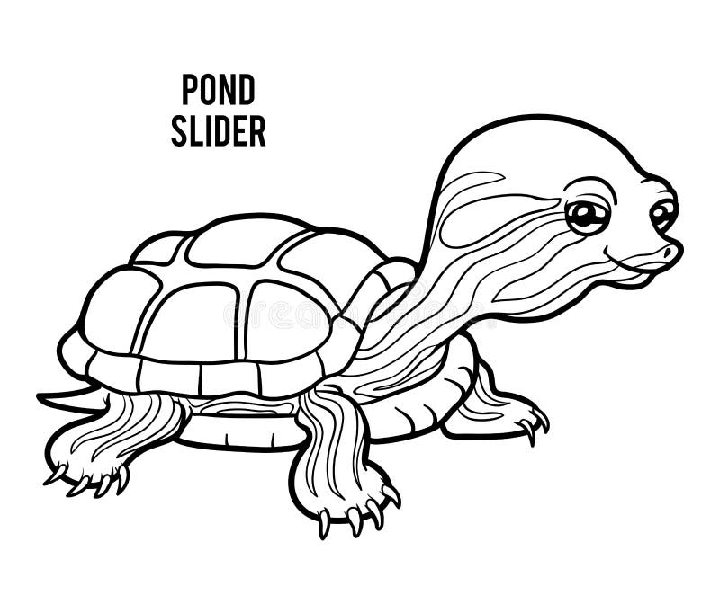 Slider turtle stock illustrations â slider turtle stock illustrations vectors clipart