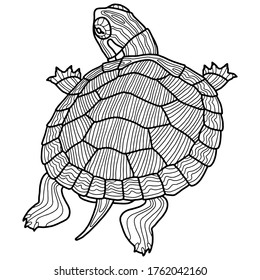 Red eared turtle over royalty