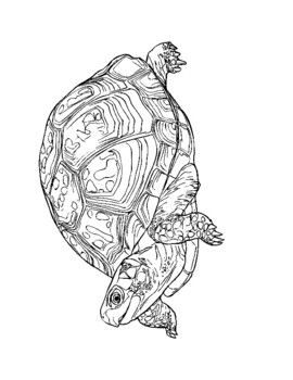 Animal coloring pages for teens and adults