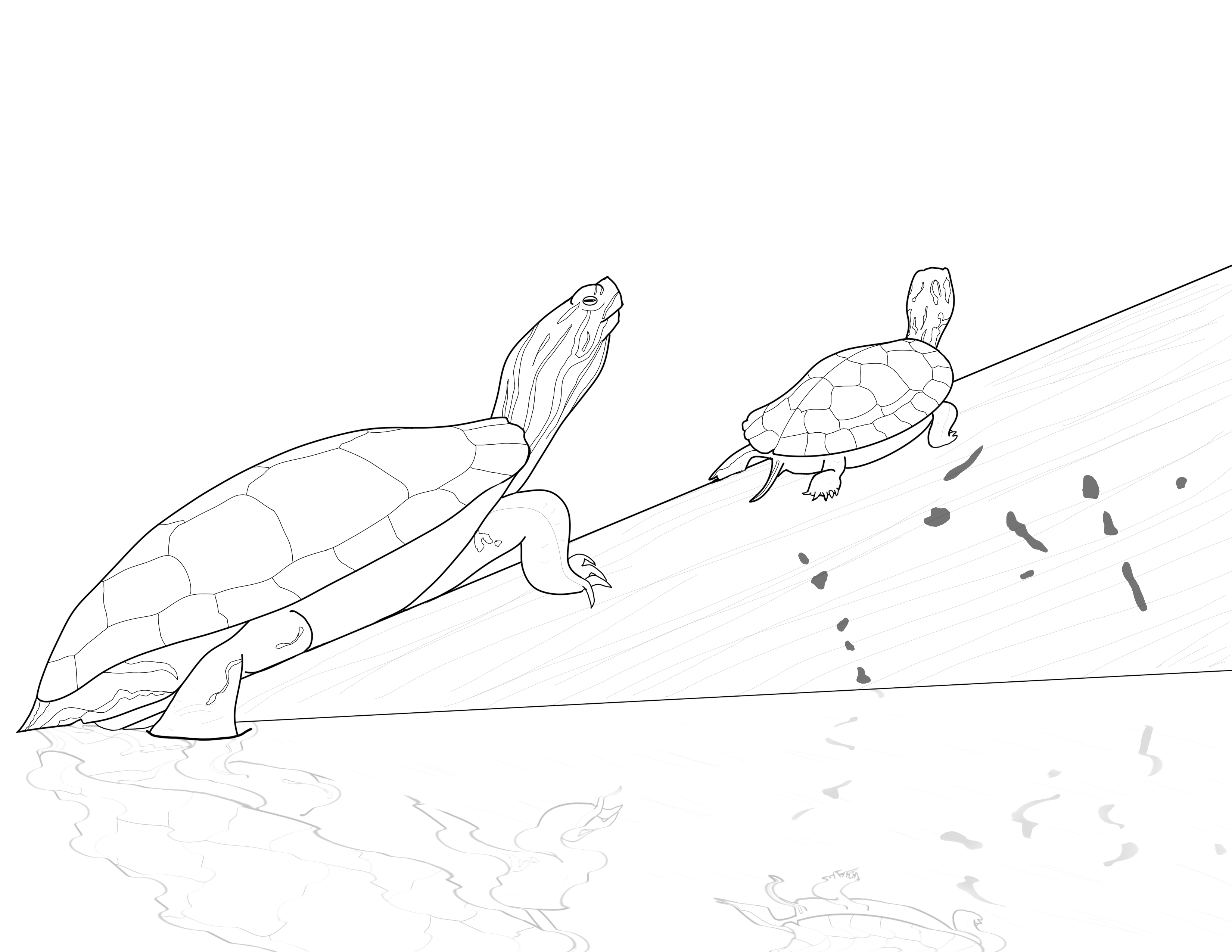Wildlife bundle