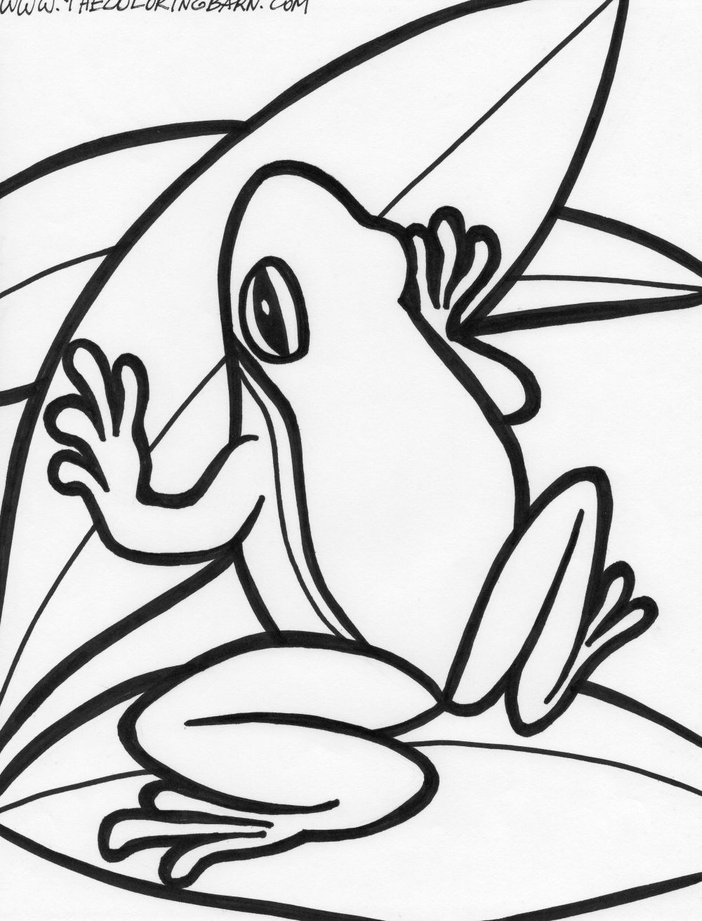 Frog coloring pages