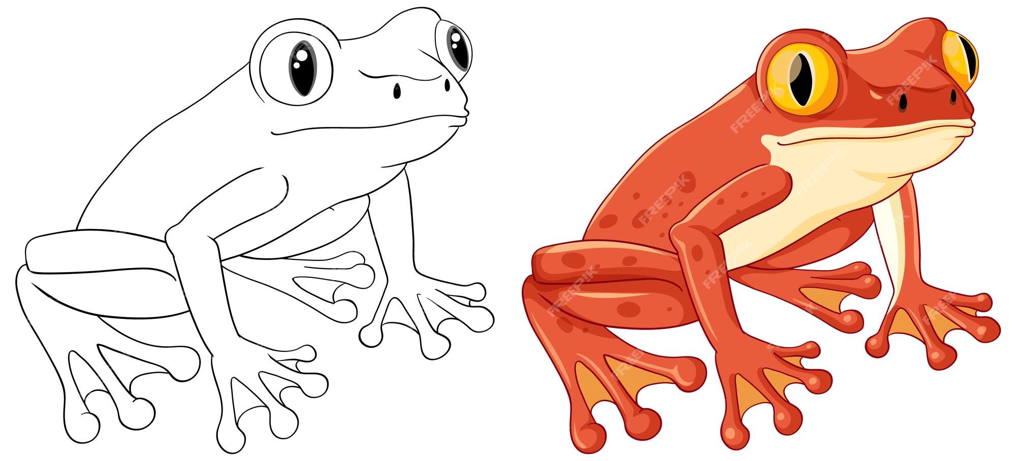 Free vector outline red frog cartoon coloring page