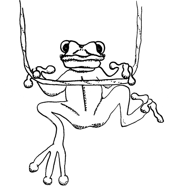 Frog coloring pages drawings
