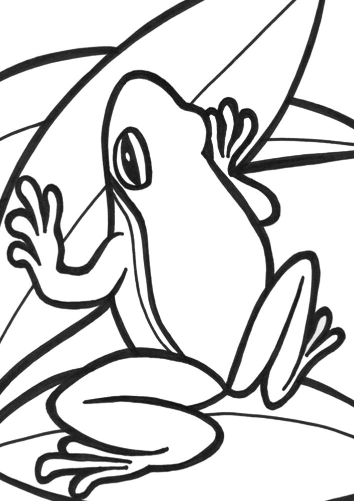 Free easy to print frog coloring pages