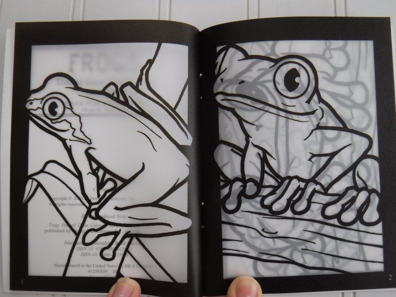 Frogs stained glass coloring book st jerome school and library
